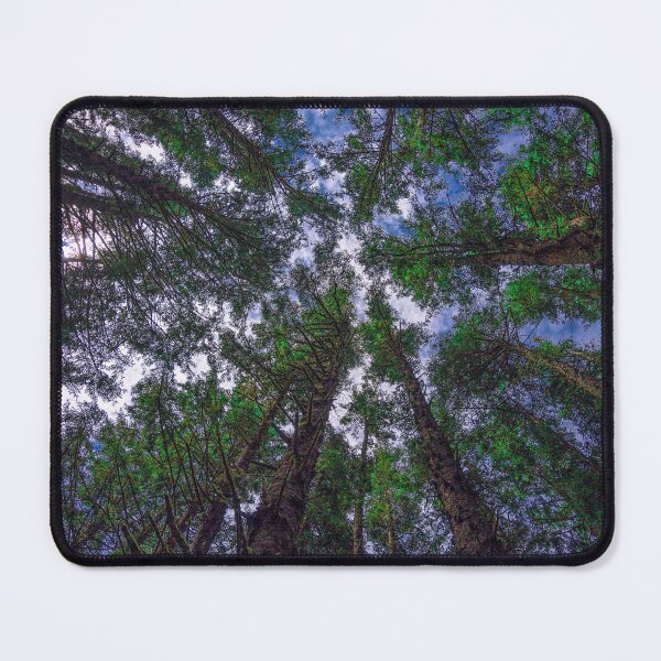 Item preview, Cape Meares Tree Canopy designed and sold by Craig Kauzmann.