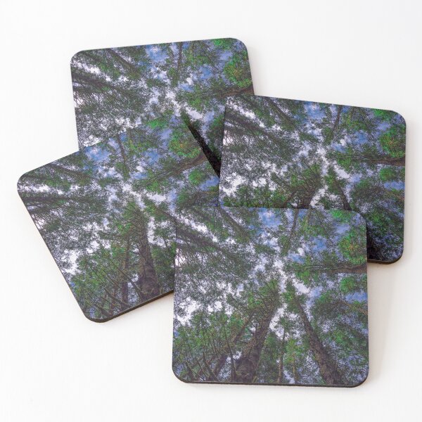 Item preview, Cape Meares Tree Canopy designed and sold by Craig Kauzmann.