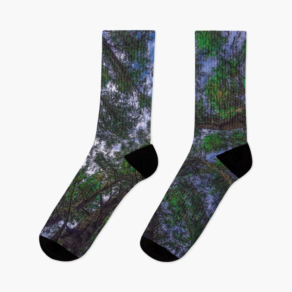 Item preview, Cape Meares Tree Canopy designed and sold by Craig Kauzmann.