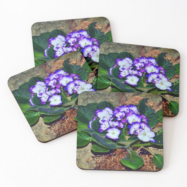 Item preview, Purple White African Violet designed and sold by Savannah Gibbs.