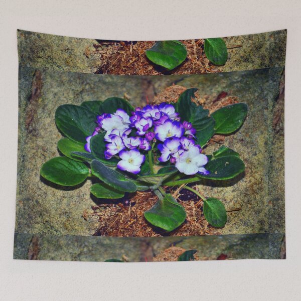 Item preview, Purple White African Violet designed and sold by Savannah Gibbs.