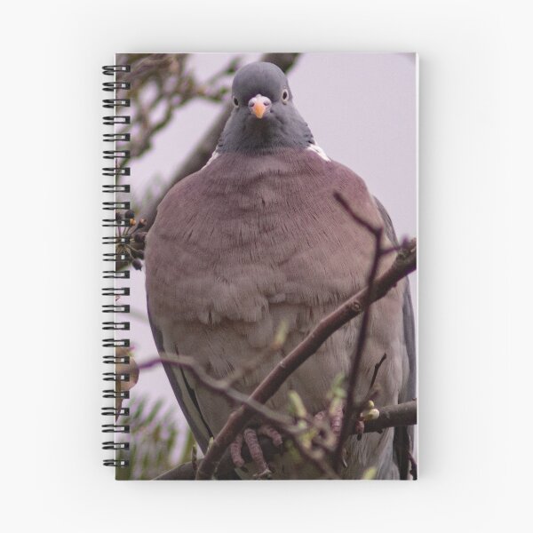Item preview, Pigeon Perching. designed and sold by GingerMan2550.