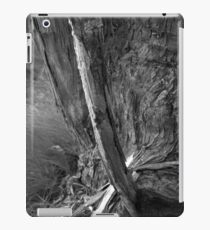 Spike iPad Case/Skin