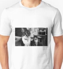 Adorable Kittens Unisex T-Shirt