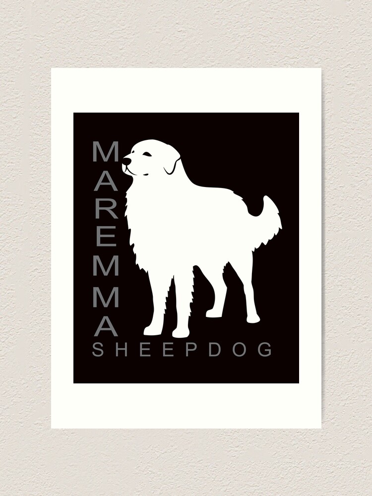 "Maremma Sheepdog NickerStickers® on Redbubble" Art Print for Sale by
