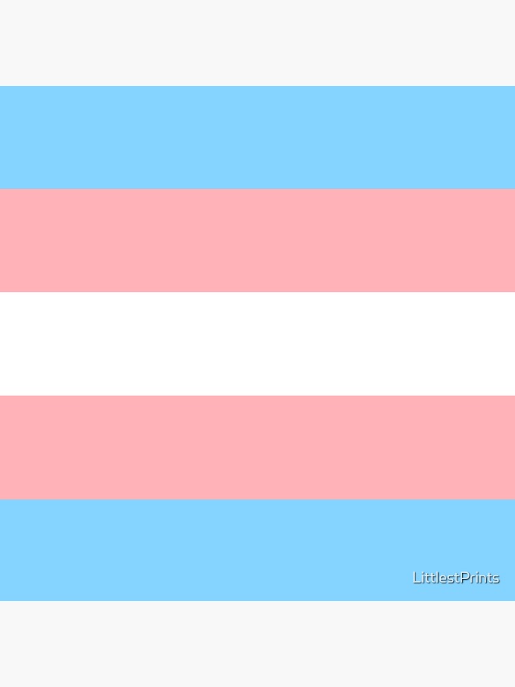 Trans Flag Sticker For Sale By Littlestprints Redbubble 4080