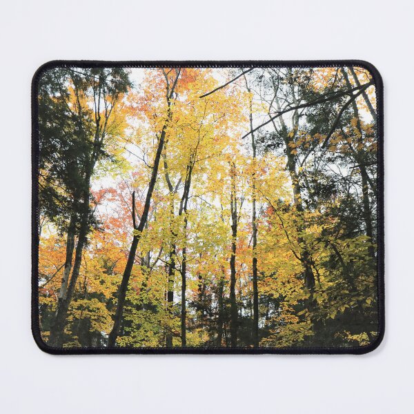 Item preview, Color Burst designed and sold by RVogler.