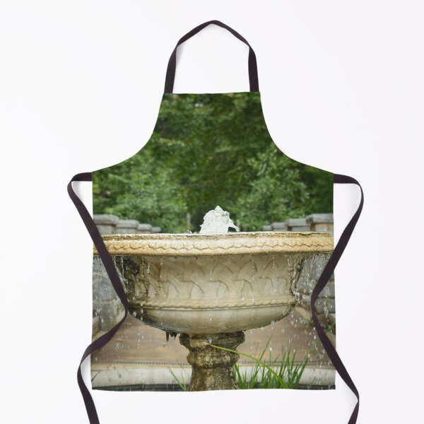 Aperçu de l'œuvre Fountain in the Garden créée et vendue par Craig Kauzmann.