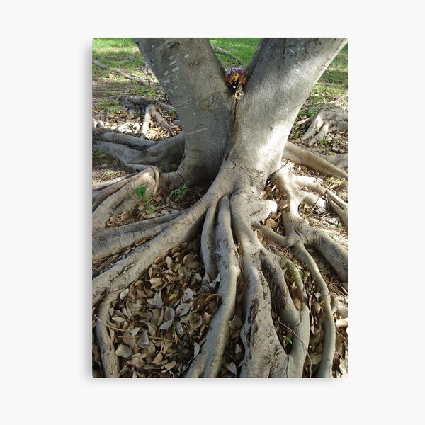 Spirit of the Woodlands Canvas Print