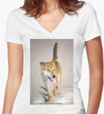 Fraser Island Dingo, Queensland, Austalia Women's Fitted V-Neck T-Shirt