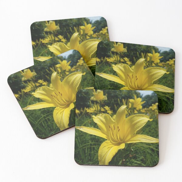 Item preview, Yellow Lily - Original Photography designed and sold by JulienneJc.
