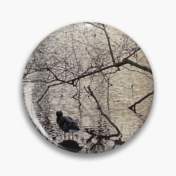 Item preview, Coot at Sunset designed and sold by Paddyb17.