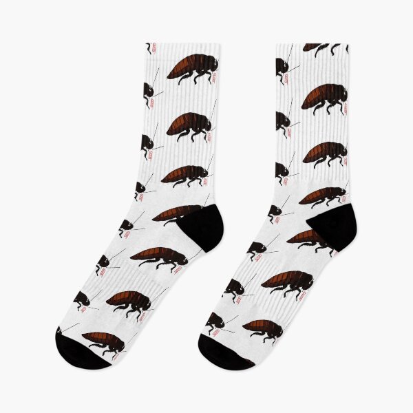 Item preview, wildlife:cockroach designed and sold by DesignLGM.