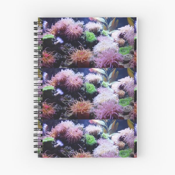 Item preview, Bit Blurry Anemone - Original Photography designed and sold by JulienneJc.