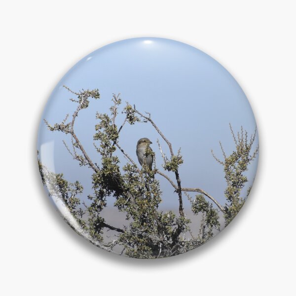 Item preview, Loggerhead Shrike designed and sold by CaraEmery.