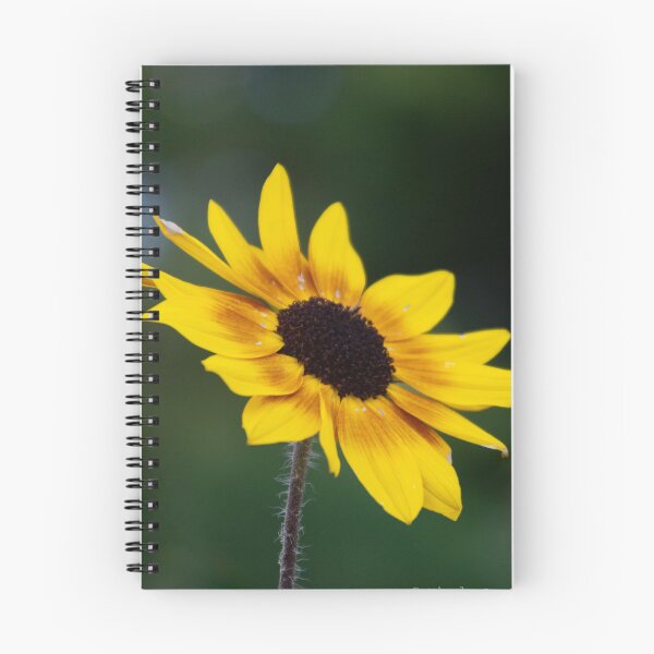 Item preview, Sunshine Flower designed and sold by Gemini1987.