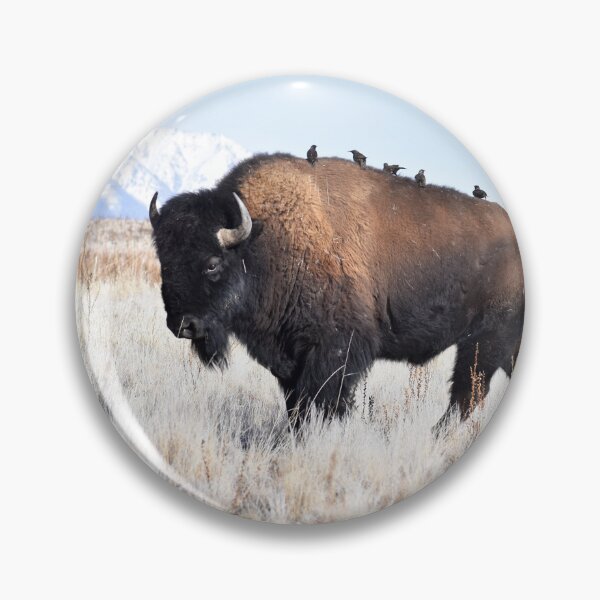 Item preview, American Bison designed and sold by CaraEmery.