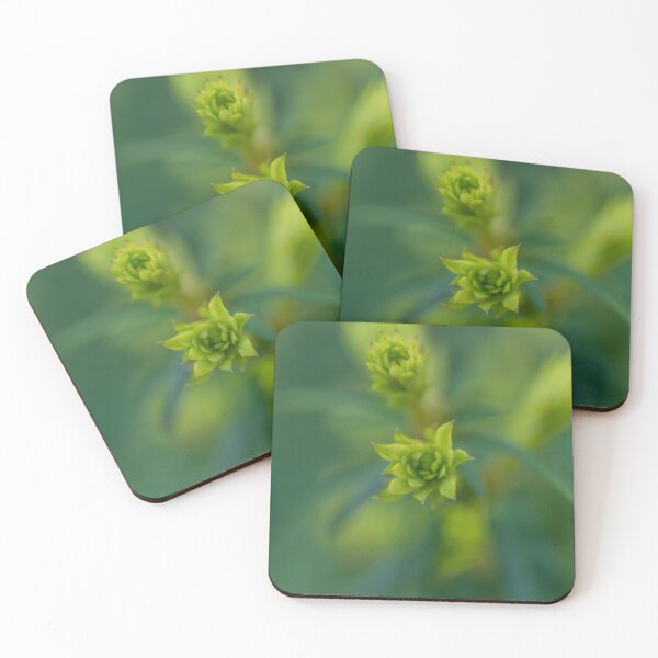 Item preview, The Budding of the Spring designed and sold by Craig Kauzmann.