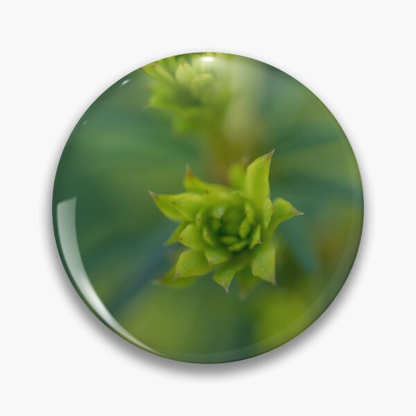Item preview, The Budding of the Spring designed and sold by Craig Kauzmann.