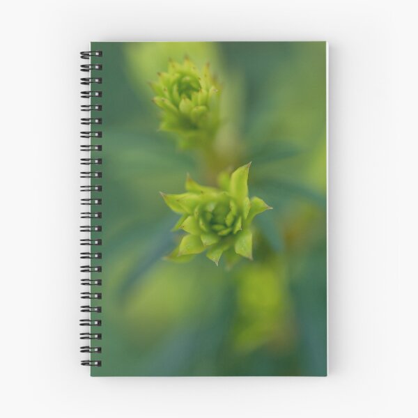 Item preview, The Budding of the Spring designed and sold by Craig Kauzmann.