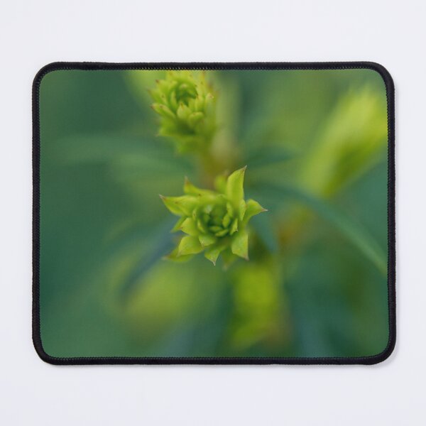 Item preview, The Budding of the Spring designed and sold by Craig Kauzmann.