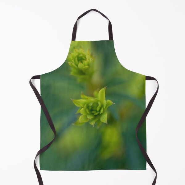 Item preview, The Budding of the Spring designed and sold by Craig Kauzmann.