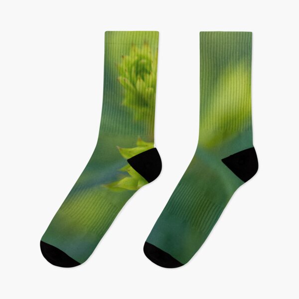 Item preview, The Budding of the Spring designed and sold by Craig Kauzmann.