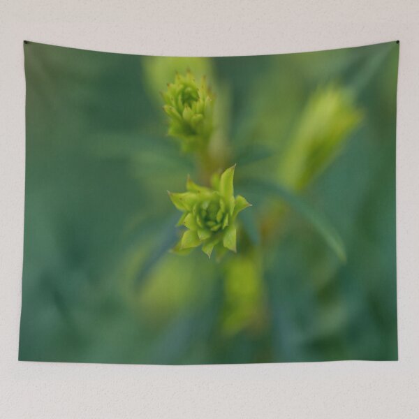 Item preview, The Budding of the Spring designed and sold by Craig Kauzmann.