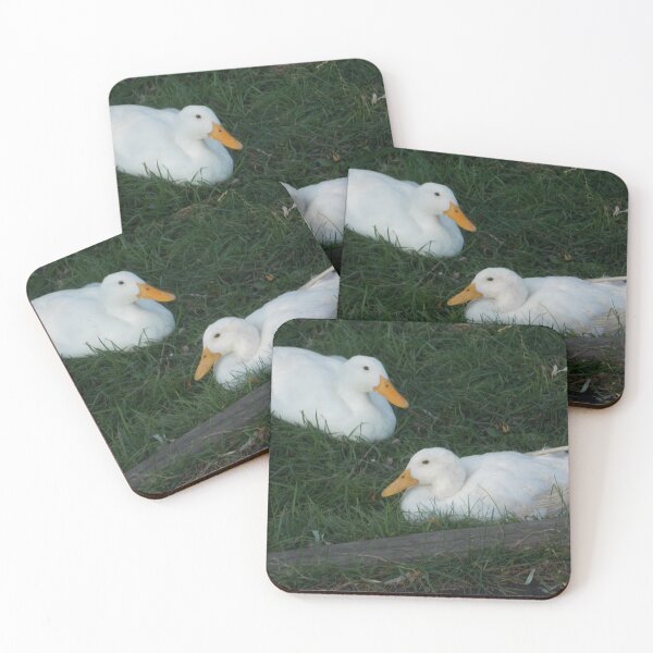 Item preview, Two Ducks - Original Photography designed and sold by JulienneJc.