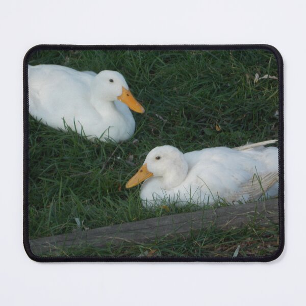 Item preview, Two Ducks - Original Photography designed and sold by JulienneJc.