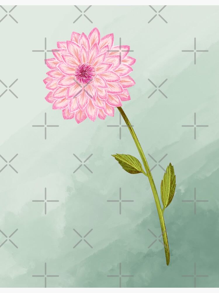 Thumbnail 3 of 3, Sticker, Stillness Gifts Pink Dahlia designed and sold by stillnessgifts.