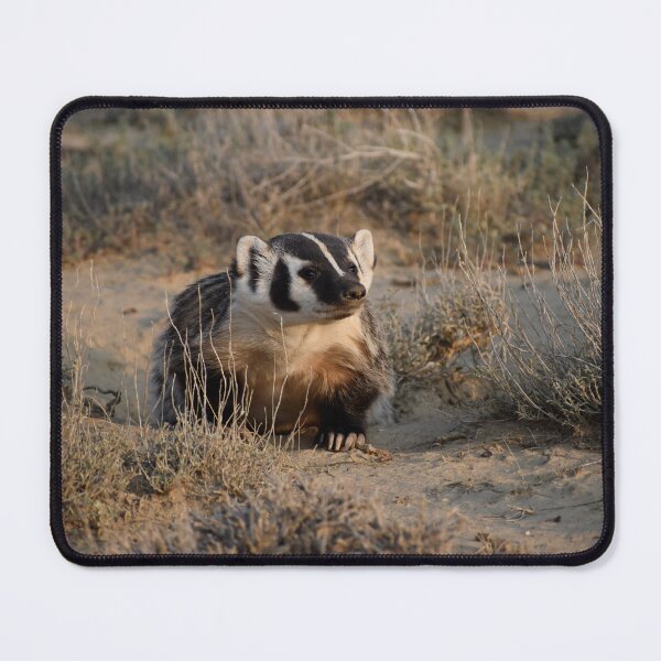Item preview, American Badger designed and sold by CaraEmery.
