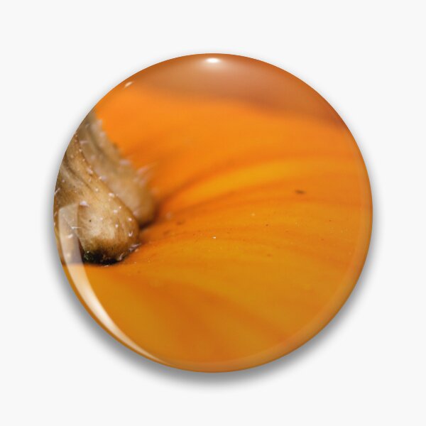 Item preview, Cucurbita Pepo designed and sold by TrevorAlanPix.