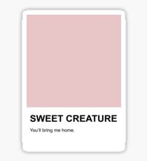 Sweet Creature Sticker