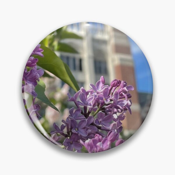 Item preview, Lilacs of Tower Court II designed and sold by Pisces-Pics.