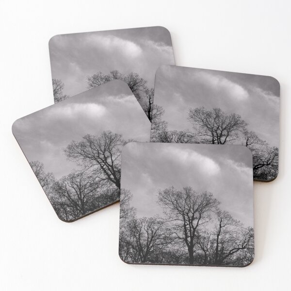 Item preview, Looking UP to the Trees designed and sold by fototaker Tony.
