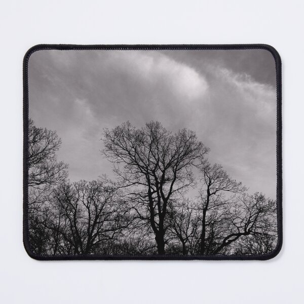 Item preview, Looking UP to the Trees designed and sold by fototaker Tony.