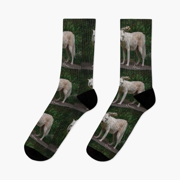 Item preview, Wolf  designed and sold by Photographer37.