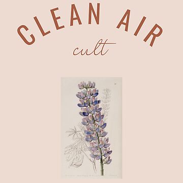 Artwork thumbnail, Clean air cult by DeborahLupton