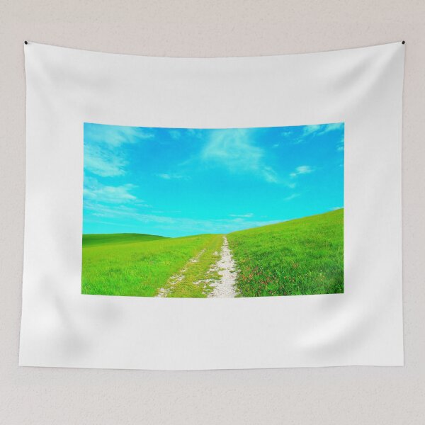 Item preview, Scenery from Piani di Ragnolo with a path climbing the hill designed and sold by Kristina Drozd.
