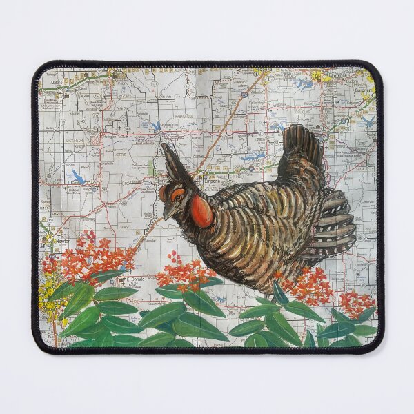 Item preview, Prairie Chicken and Butterfly Milkweed designed and sold by Katie Morris Art.
