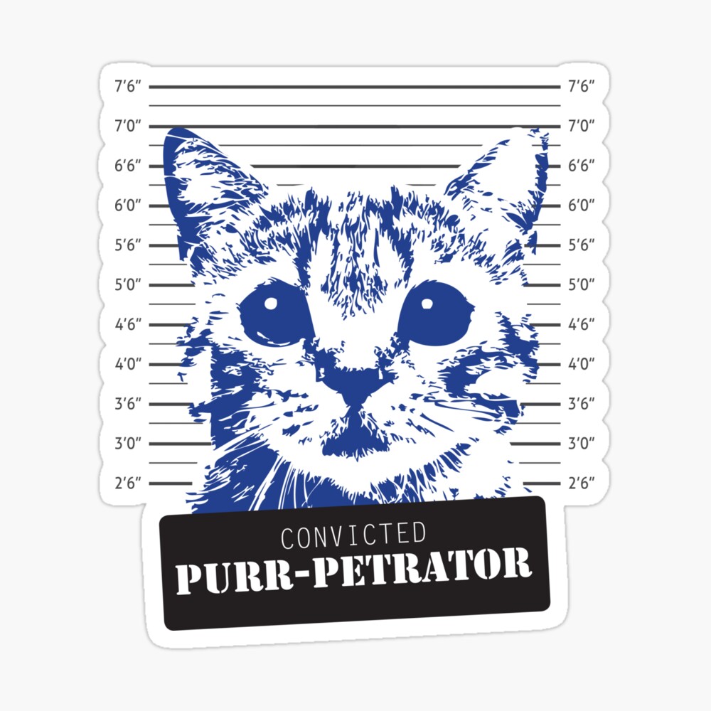 Poster Cadeau Drole D Anniversaire De Mugshot De Chat Mignon Pour Des Hommes Des Femmes De Tous Les Ages Par J10parker Redbubble