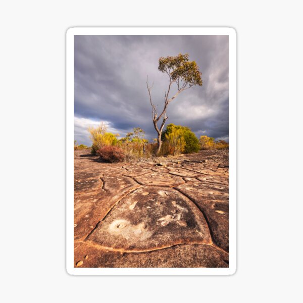 Item preview, Formations designed and sold by Geoff Wols.