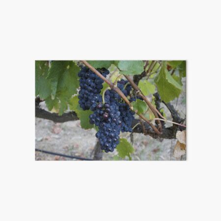 I saw it on the Grape Vine Art Board Print
