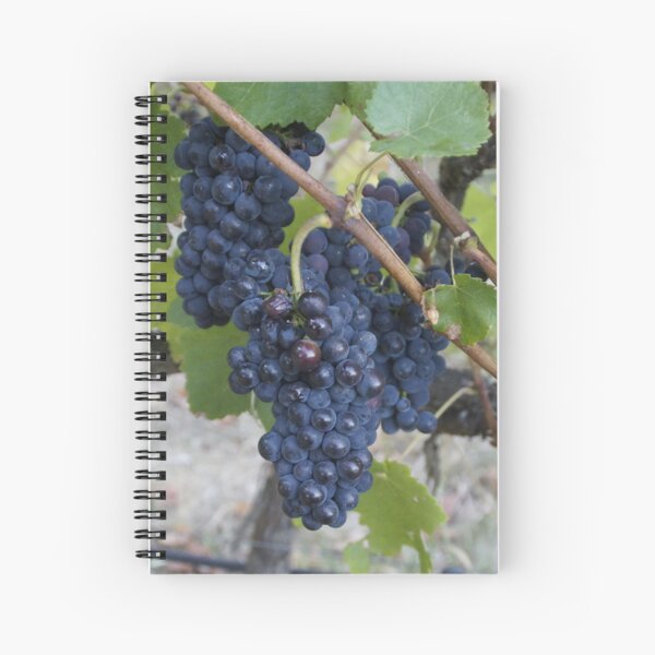 I saw it on the Grape Vine Spiral Notebook