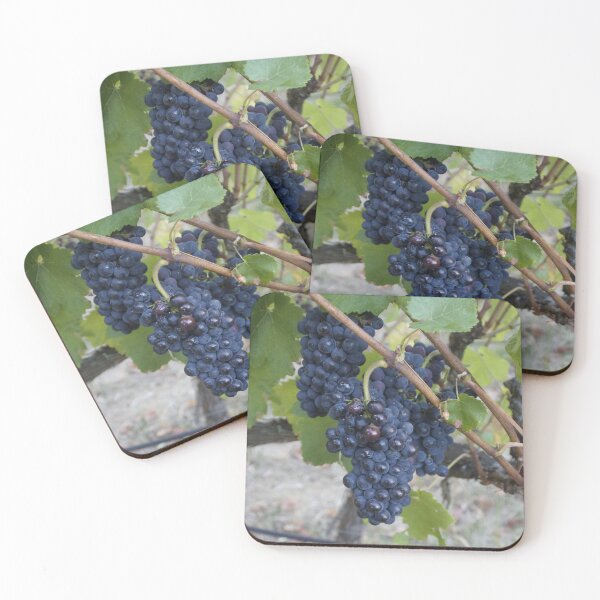 Item preview, I saw it on the Grape Vine by Adelaide artist Avril Thomas at Magpie Springs designed and sold by MagpieSprings.