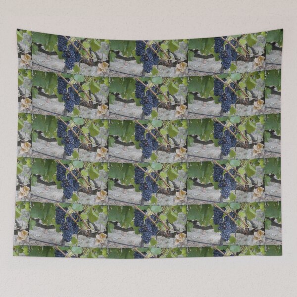 Item preview, I saw it on the Grape Vine by Adelaide artist Avril Thomas at Magpie Springs designed and sold by MagpieSprings.