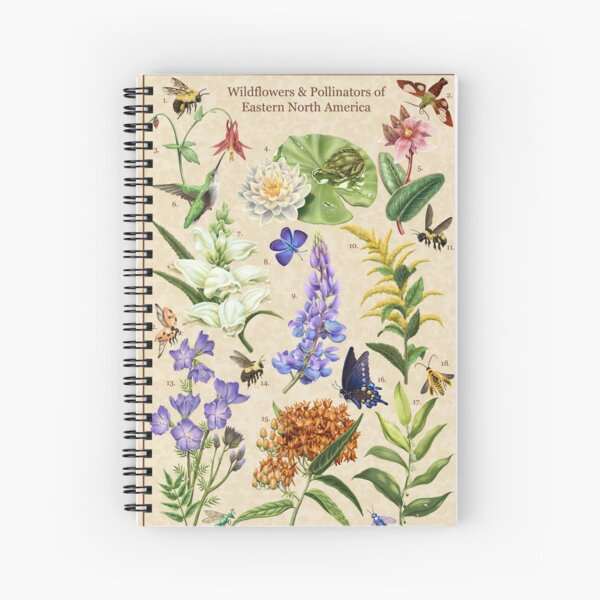 Item preview, Wildflowers and Pollinators of East North America designed and sold by Nick Garnhart.