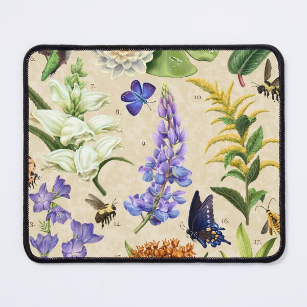 Item preview, Wildflowers and Pollinators of East North America designed and sold by Nick Garnhart.
