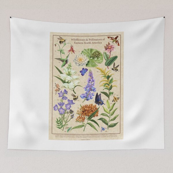 Item preview, Wildflowers and Pollinators of East North America designed and sold by Nick Garnhart.